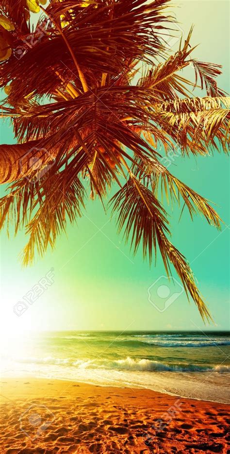 Tropical Beach At Sunset Time Vertical Panoramic Composition Stock