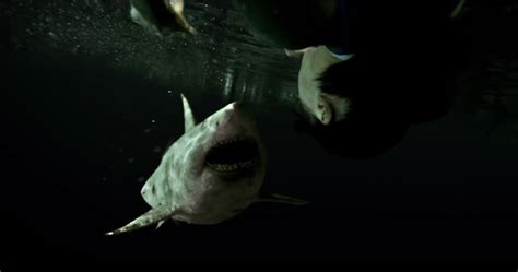 47 Meters Down Sequel Trailer Reveals A City Of Sharks Collider