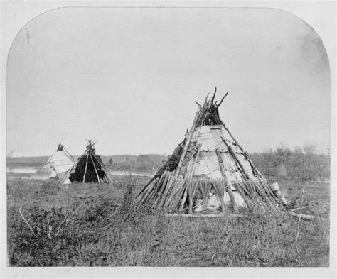 Ojibwe Birch Bark Wigwam Michipicoten First Nation Native American