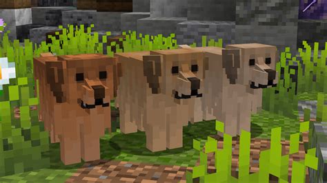 Better Dogs Minecraft Resource Packs Curseforge