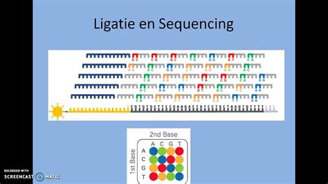 Sequencing By Ligation Solid Youtube
