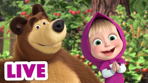 ماشا والدب 👱‍♀️ Live Stream 🥧 الاحتفال بالأوقات السعيدة 😊 Masha And The Bear Youtube