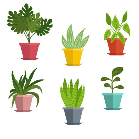 Plant Clipart Free Cliparts And Png Plant Clipart Plant Plant Cute