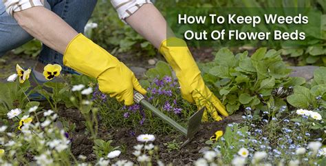 How To Keep Weeds Out Of Flower Beds And Stop Them From Growing