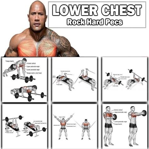 Lower Chest Training The Rock Hard Pecs Workout Chest Workout