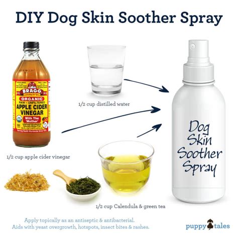 Great Home Made Spray For An Itchy Dog Dogsfirstireland Itchy Dog