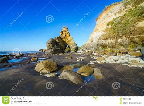 On The Beach 3 Sisters And Elephant Rock New Zealand 46 Stock Image