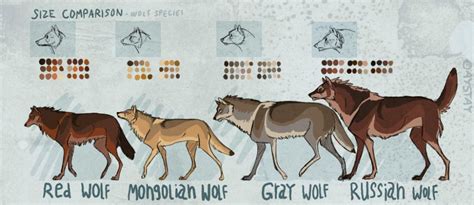Size Comparison By Aystay On Deviantart Maned Wolf North American
