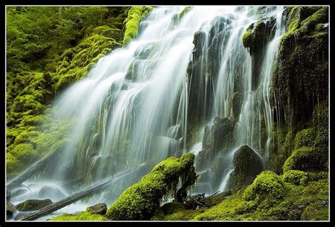 Cascading Waters Green Waterfalls Beautiful Rushing Water Hd