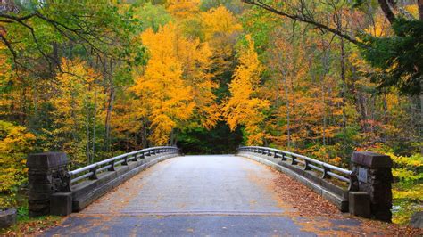 Bridge Massachusetts Colorful Autumn Trees Nature Forest Background