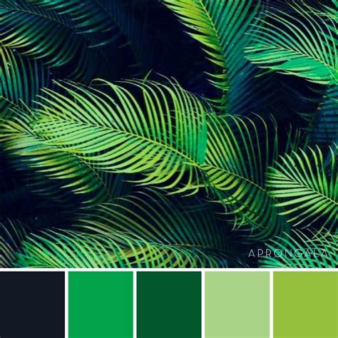 Tropical Rainforest Green Color Scheme Green Color