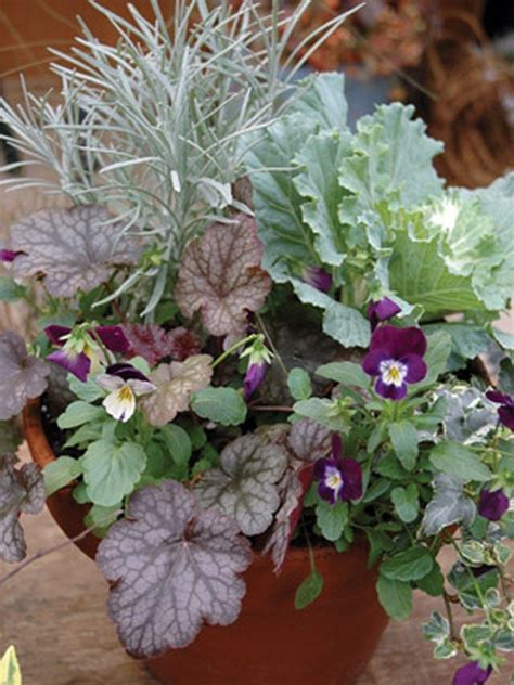 Beautiful Outdoor Winter Container Gardening Design Ideas 20