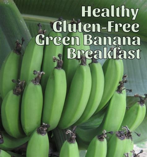 5 Healthy Gluten Free Green Banana Breakfast Recipes Delishably