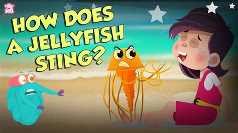 How Does A Jellyfish Sting