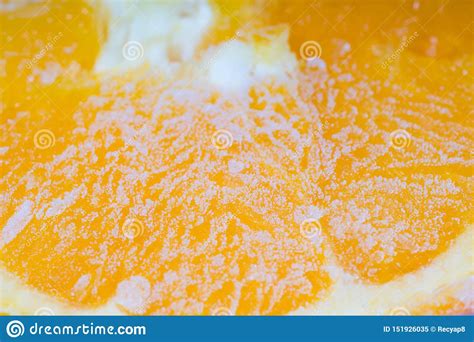 Frozen Sliced Orange Stock Image Image Of Sour Bright 151926035
