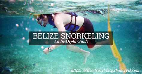 Belize Snorkeling An In Depth Guide