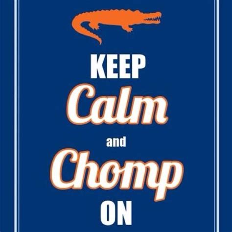 Go Gators Quotes And Sayings Pinterest