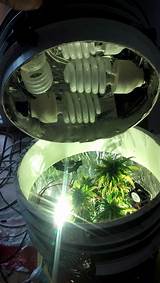 Marijuana Space Bucket