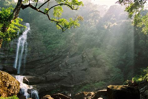 Sinharaja Rain Forest In Sri Lanka Inspired Tours