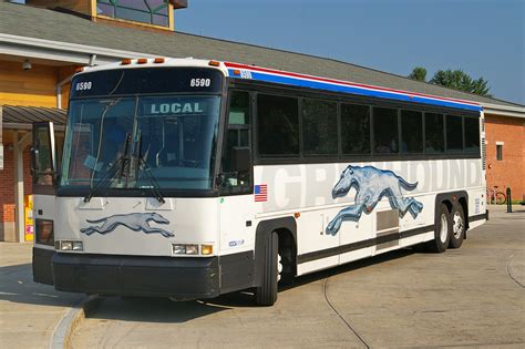 Greyhound buses are one of the most affordable ways of traveling within the united states. Thinking of Adopting a Greyhound, TME | TMMAC - The MMA ...