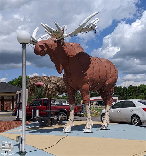 Morris The Moose Mooresville Nc Strange Carolinas The Travelogue