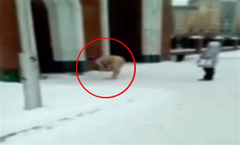 Video Of Naked Woman In Church To Shed Evil Spirits Goes Viral