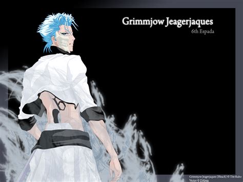 Grimmjow Bleach Anime Wallpaper 33580671 Fanpop