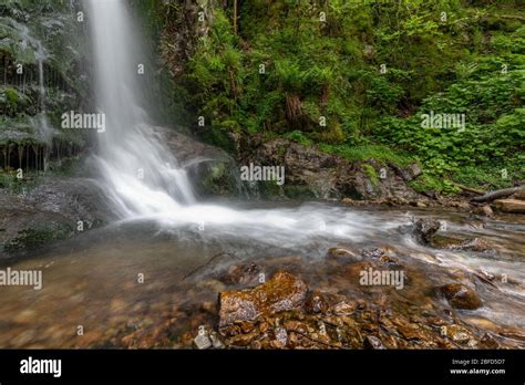 Cascade Falls Over Mossy Rocks In The Forest Stock Photo Alamy