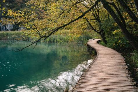 The Turquoise Forest Lake Crystal Clear Water Plitvice Lakes Stock