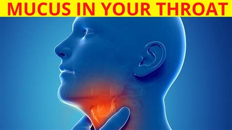 How To Get Rid Of Plegm Stuck In Throat Fast Home Remedy To Clear Mucus