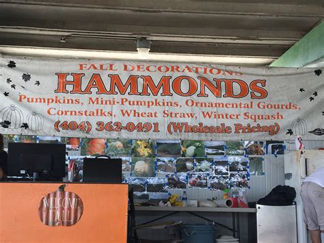 Happy Fall Y'all! Guess who... - Atlanta State Farmers Market