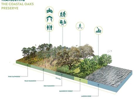 Notable Project Submission Coastal Oaks Preserve Outside Collab