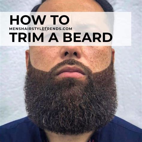 beard growth tips how to grow a beard trim and shape it