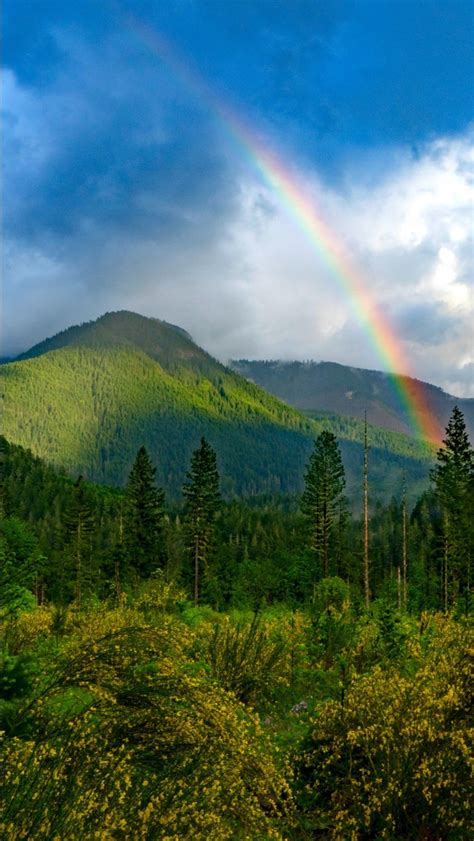 Rainbow 11 4k Hd Nature Wallpapers Hd Wallpapers Id 33608