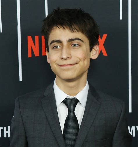 Environment goodwill ambassador for north america. Aidan Gallagher - Age, Height, Bio, Parents, Birthday, Net ...
