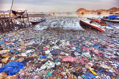 Our Plastic Ocean What We Need To Know About Plastic