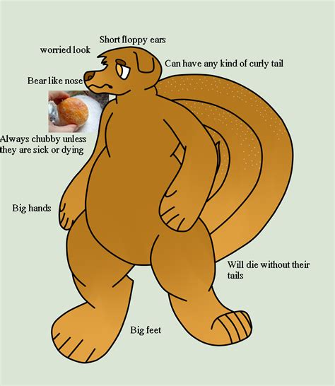 Chubby Bears Ref Open Species By Themorguedonator On Deviantart