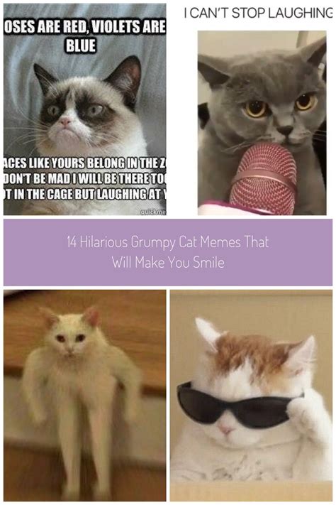 14 Hilarious Grumpy Cat Memes That Will Make You Smile Memes Cat 14