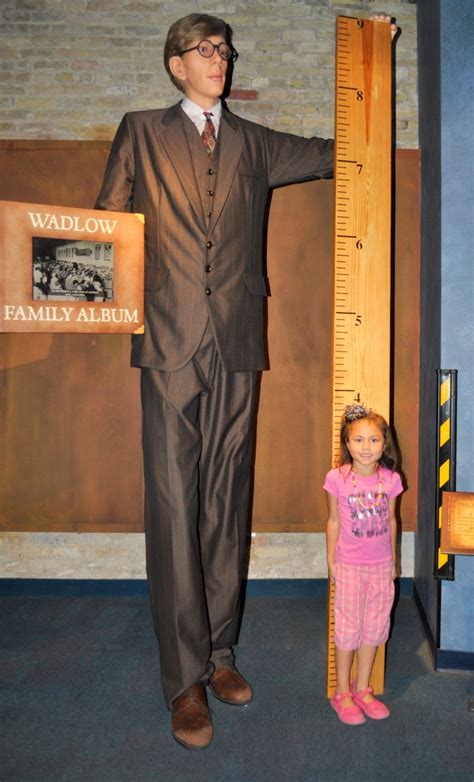 How many cm are in 5'8? Robert Wadlow: Worlds Tallest Man Exhibit 8 feet 11 inches ...