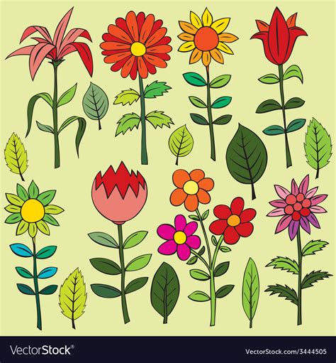 Various Summer Flowers Royalty Free Vector Image