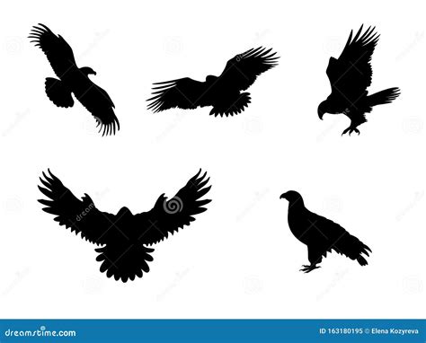 Hawk Eagle Falcon Or Orel Black Silhouette Isolated On White