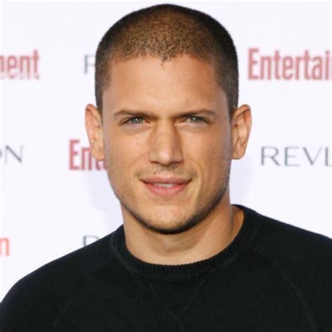 Exclusive Wentworth Miller Comes Out As Gay E Online