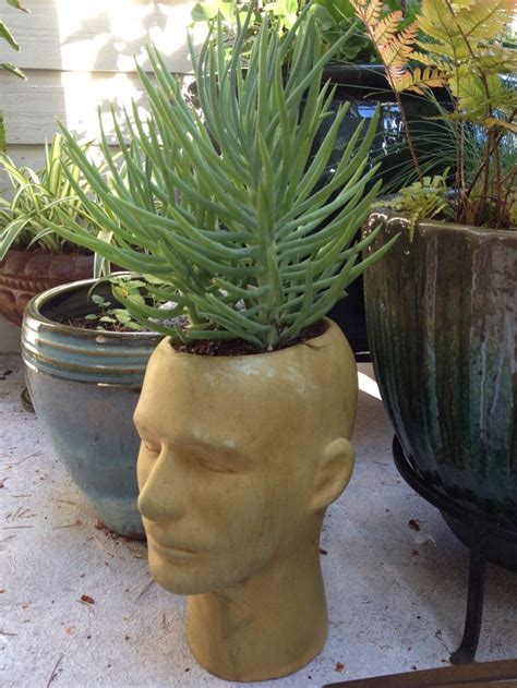 82 Best Head Planters Images On Pinterest Garden Ideas Garden Planters And Head Planters