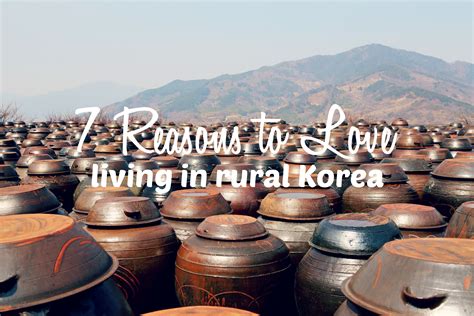 7 Reasons To Love Living In Rural Korea Hedgers Abroad