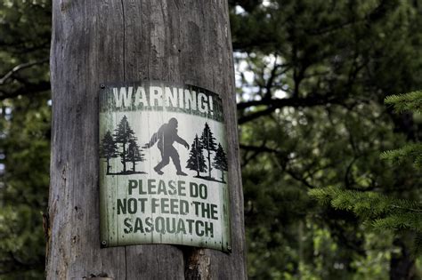 Gun Shots Reported In National Park After Alleged Sasquatch Sighting