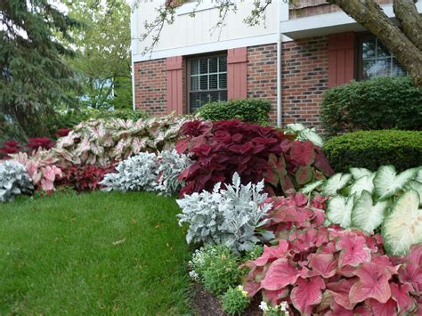 Zone 4 Garden Ideas Pin On Outdoor Home All About Hobby