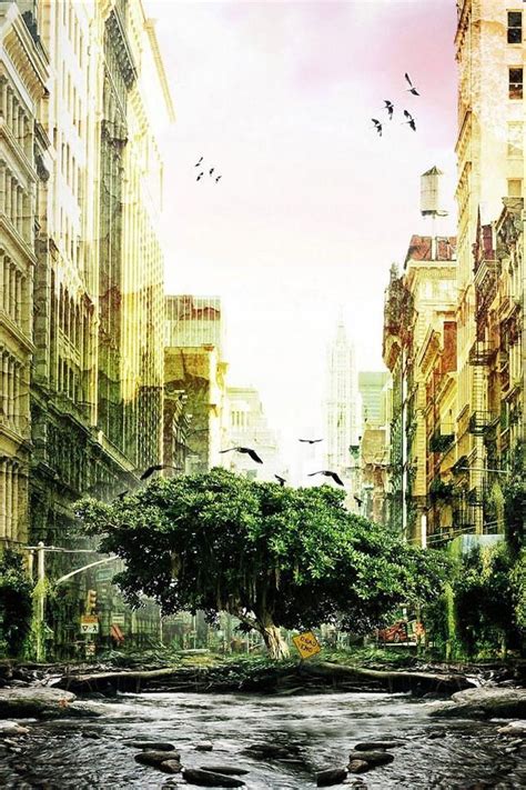 Fantasy Tree City Iphone 4s Wallpapers Free 640x960 Hd Iphone4