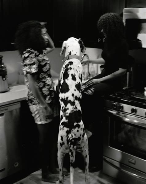What Life In New York City Looks Like With A Great Dane The New Yorker