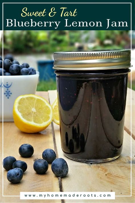 Easy Homemade Blueberry Lemon Jam My Homemade Roots Recipe