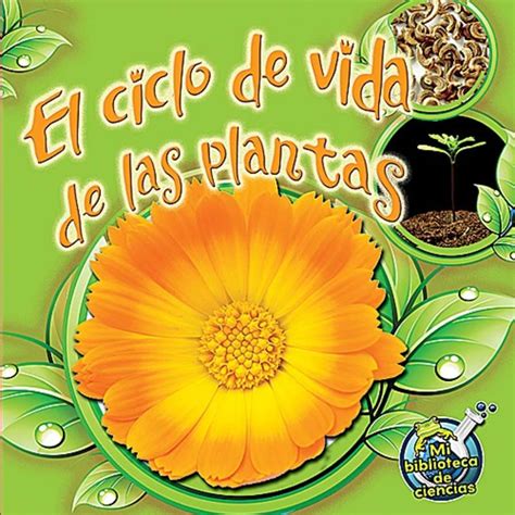 El Ciclo De Vida De Las Plantas Tcr369105 Teacher